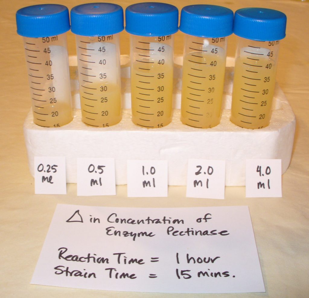 enzyme experiments 054
