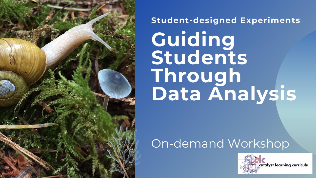 Student-designed Experiments Part 3:  Guiding Students Through Data Analysis (On-demand)