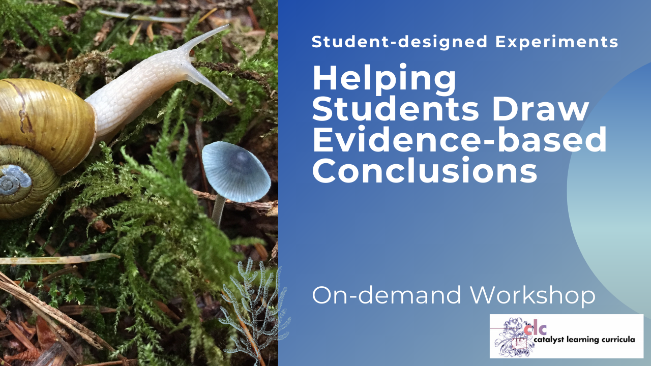 Student-designed Experiments Part 4:  Drawing Evidence-based Conclusions (On-demand)