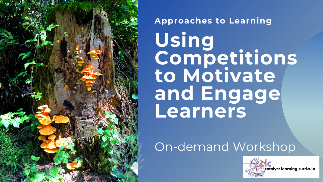 Approaches to Learning:  Using Competitions to Engage Online Learners (On-demand)
