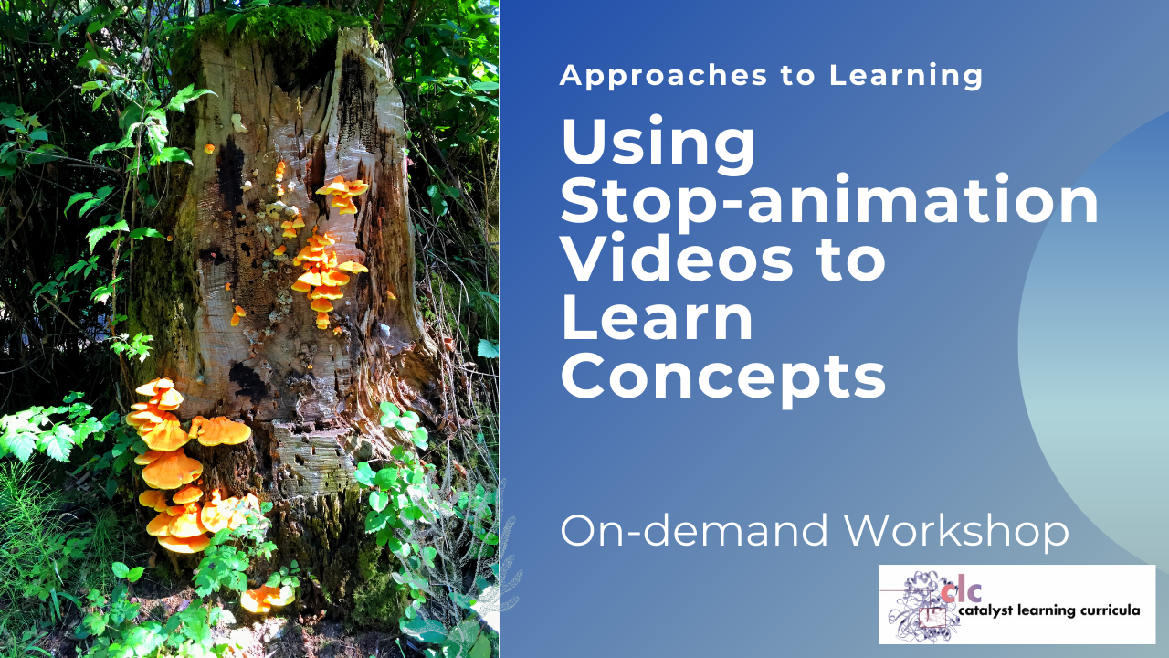 Approaches to Learning:  Using Stop-animation Videos to Learn Concepts (On-demand)