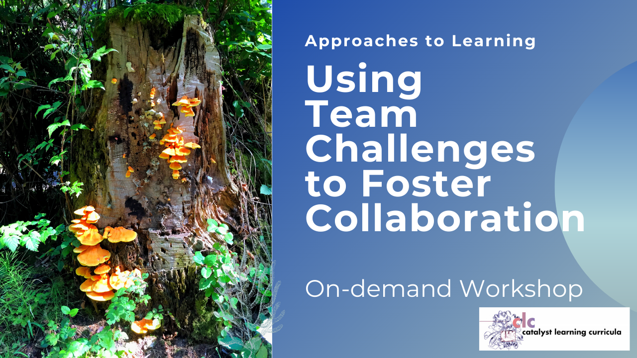 Approaches to Learning:  Using Team Challenges to Foster Collaboration (On-demand)